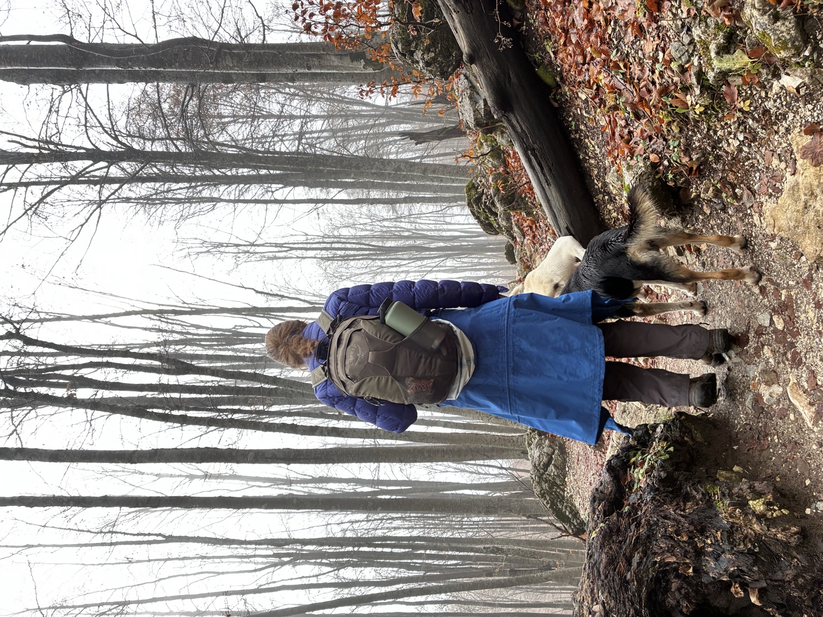Walking with our trail companions into Theth